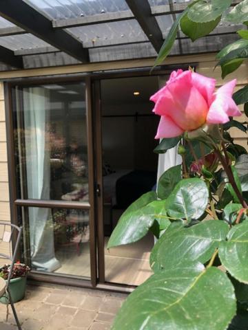 Cedar Park Bed & Breakfast Tamahere Экстерьер фото